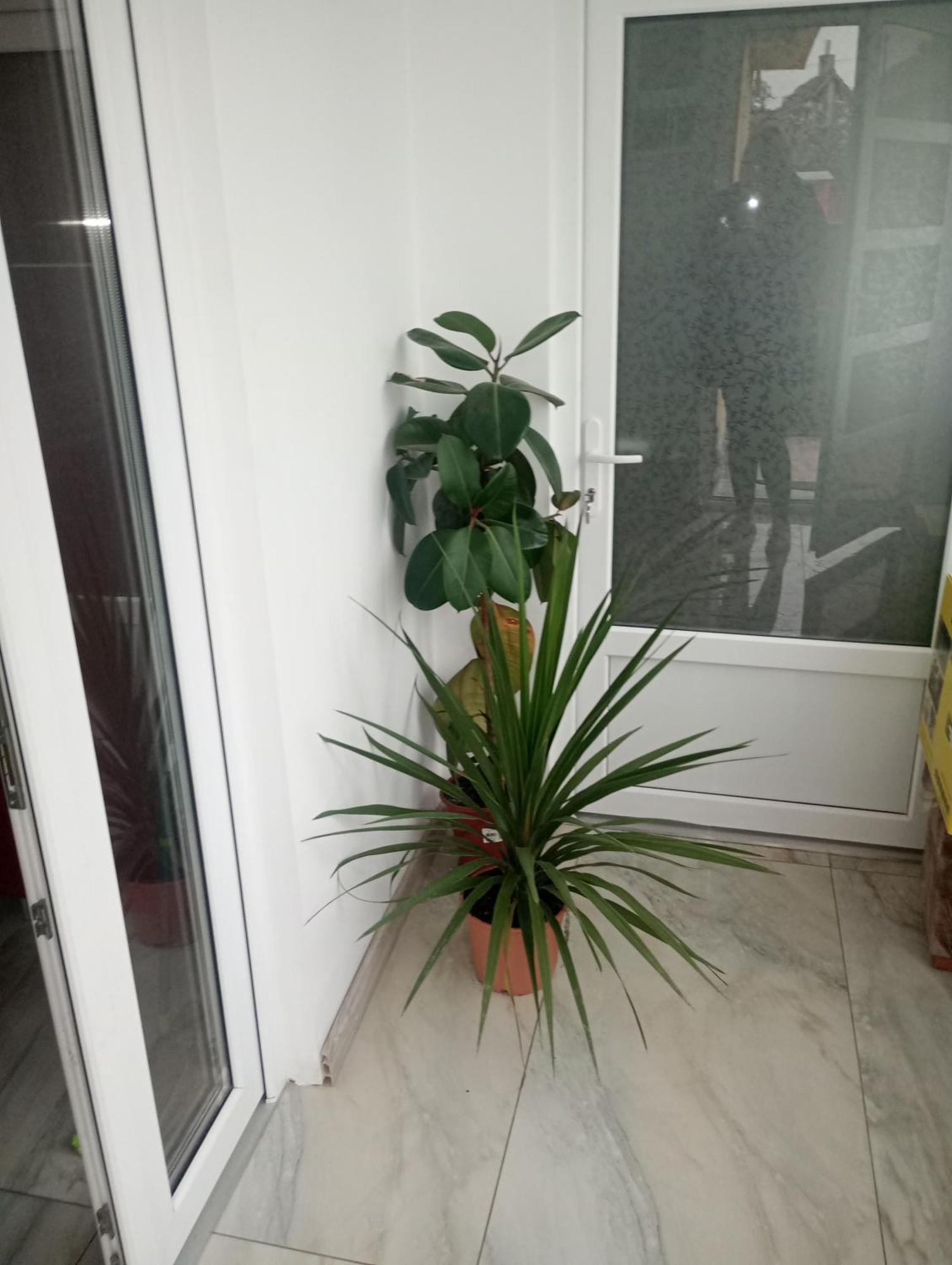 Izabella Guest House 萨彻勒 外观 照片